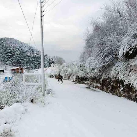La Riqueza Dhanolti View # Near To Eco Park & Surkanda Devi Temple # Mountain View Rooms With Balcony # Big Parking # Customer Favourite Hotel Dhanaulti Εξωτερικό φωτογραφία