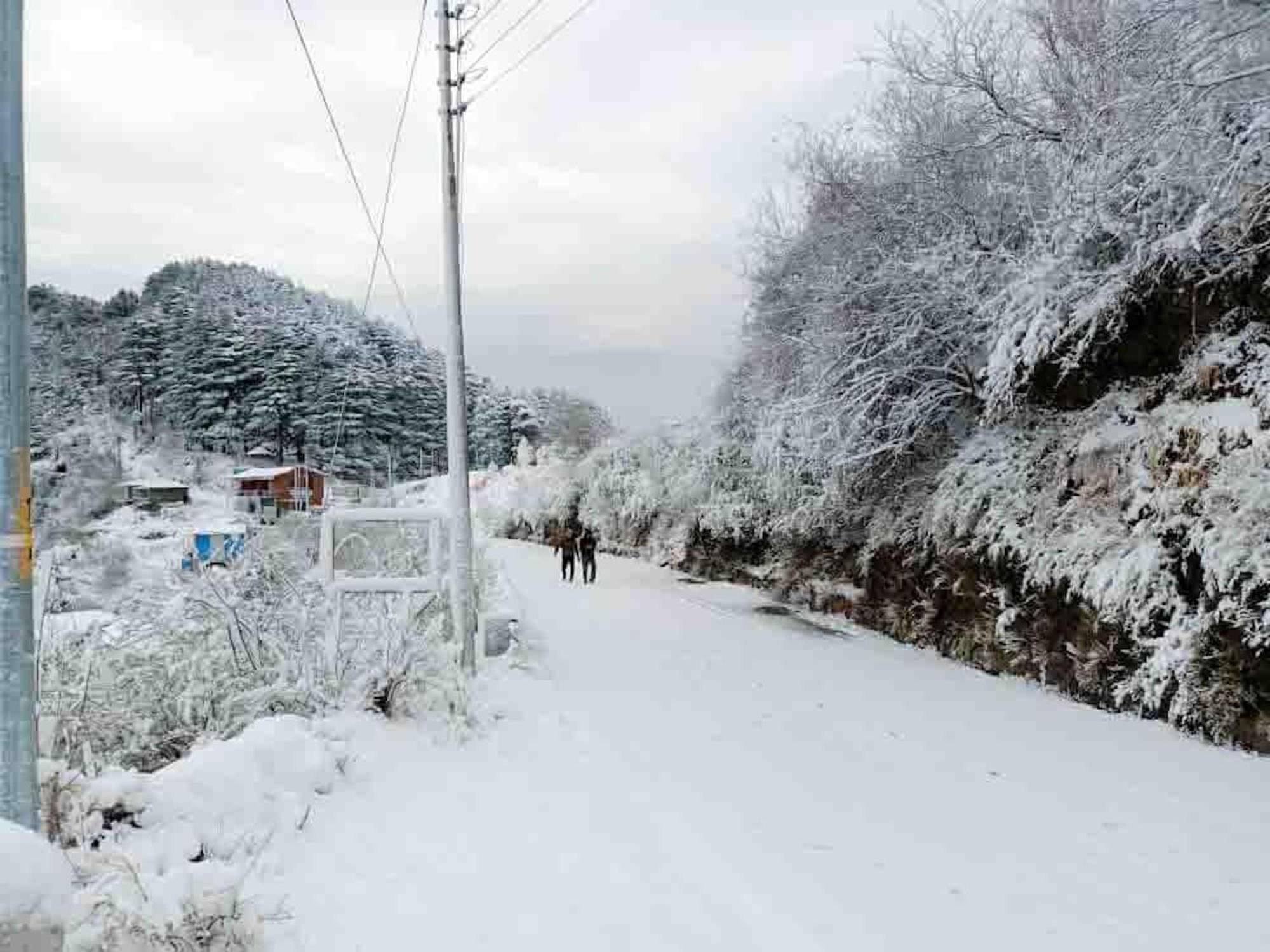 La Riqueza Dhanolti View # Near To Eco Park & Surkanda Devi Temple # Mountain View Rooms With Balcony # Big Parking # Customer Favourite Hotel Dhanaulti Εξωτερικό φωτογραφία