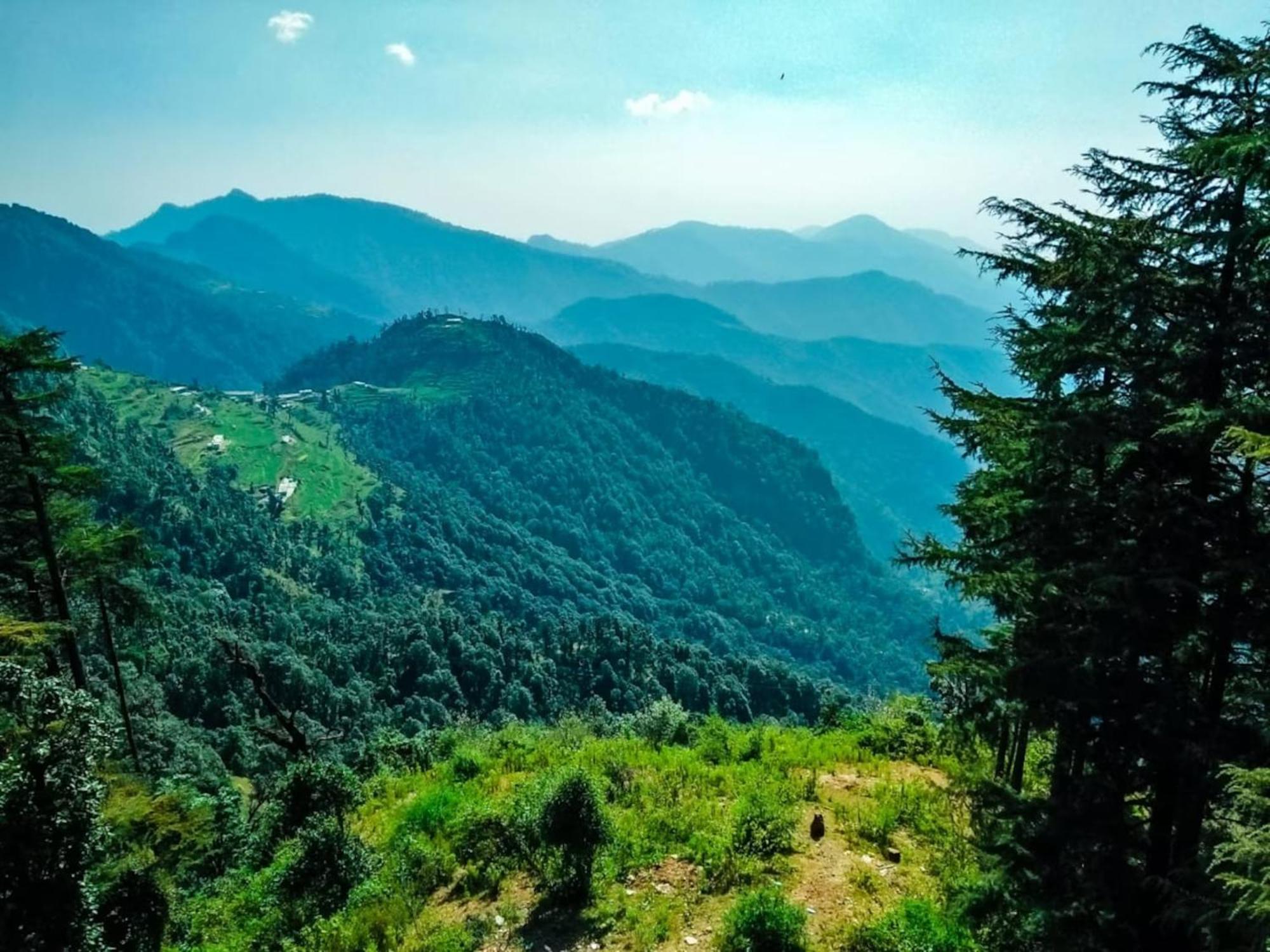 La Riqueza Dhanolti View # Near To Eco Park & Surkanda Devi Temple # Mountain View Rooms With Balcony # Big Parking # Customer Favourite Hotel Dhanaulti Εξωτερικό φωτογραφία